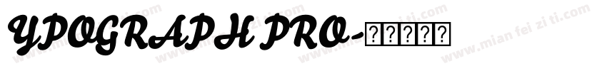 YPOGRAPH PRO字体转换